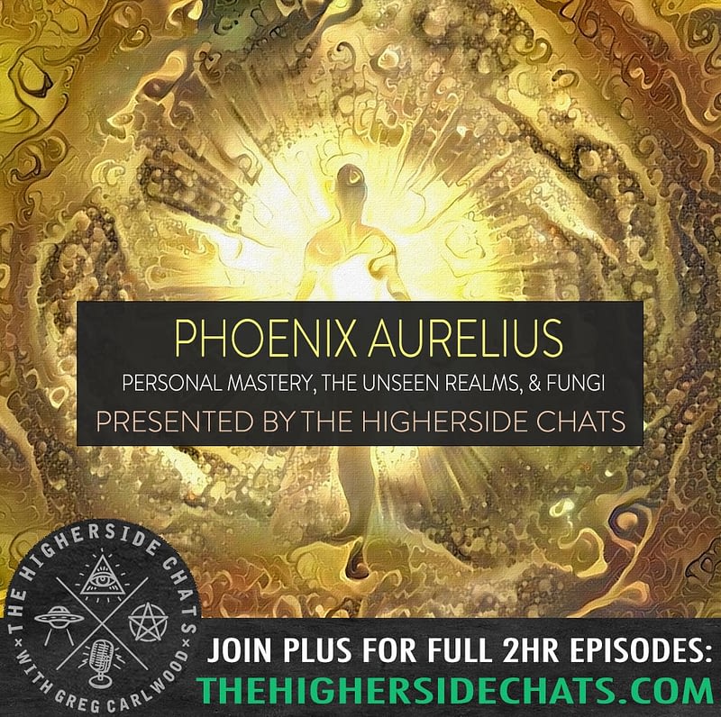 Phoenix Aurelius Personal Mastery The Unseen Realms Fungi The Higherside Chats