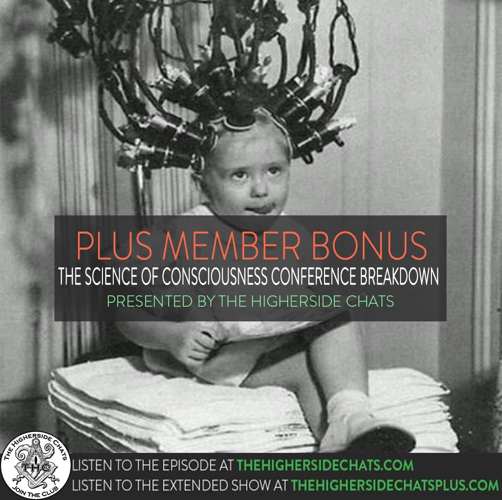 The Science Of Consciousness Conference Breakdown • The Higherside Chats
