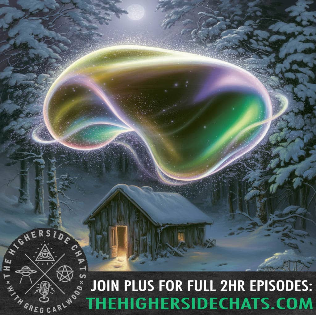 Dana Kippel | A New Force: Plasma, Consciousness, & The New Human Potential