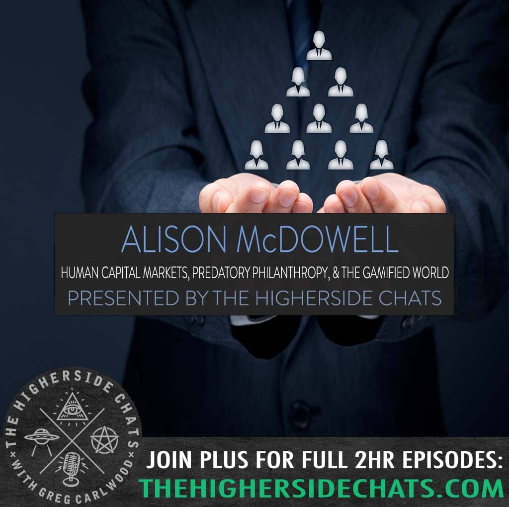 Alison MCDowell Technocracy Wrench In The Gears Interview on The Higherside Chats Podcast