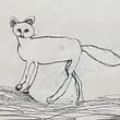 kitlofroos kitlofroos