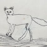kitlofroos