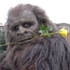 Forest Person