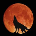 WolfMoonRadio WolfMoonRadio
