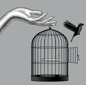 Derrick Broze | The Conscious Agora, Sovereignty Solutions, & Freedom Resources