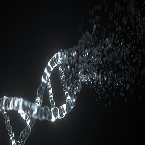 Dr. Robert Malone | Lies My Government Told Me, The Medical Industrial Complex, & The Transhumanist Plan