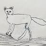kitlofroos