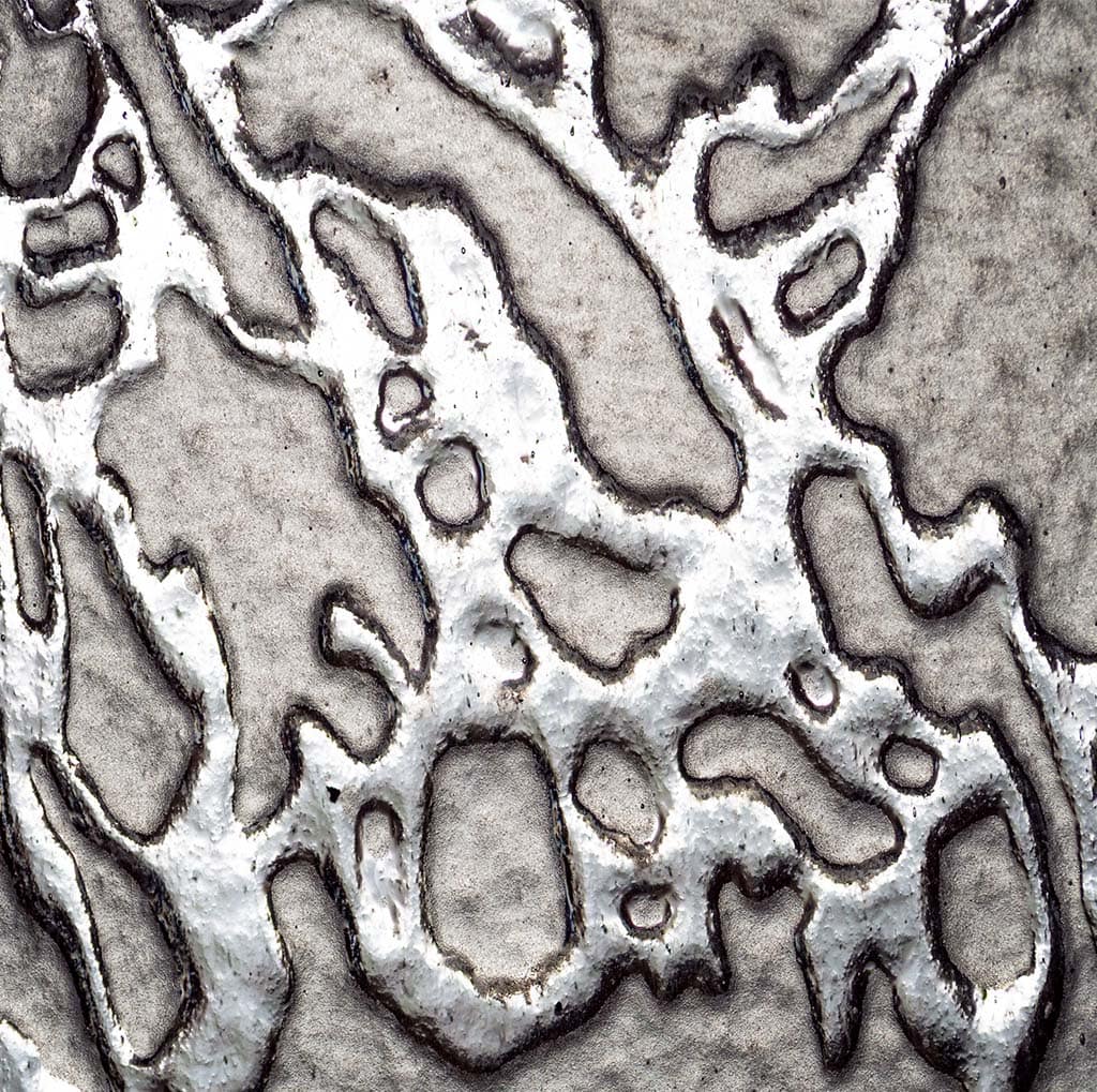 Forrest Maready |  The Moth In The Iron Lung, Metallic Medicine, & Industrial Chemicals